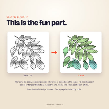 Butterflies & Leaves: Nature Doodle Patterns